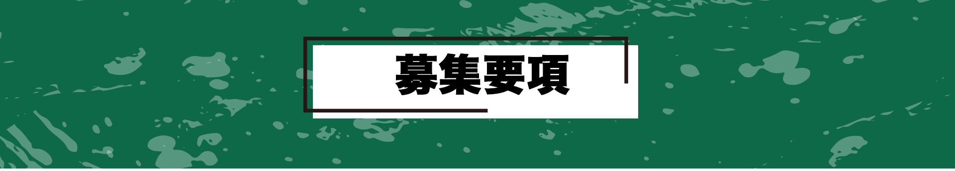 募集要項